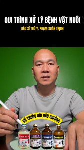 BỘ GỐI ĐẦU GIƯỜNG (QUINOGOLD-LA + GLUCO C + ENRO-FOR + MAXFLO)