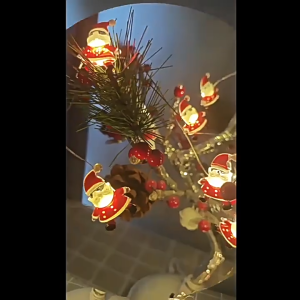 Christmas Festive LED String Lights Santa Claus Copper Wire Decorative Lights 2M 20LED Xmas Tree Lights for Indoor Outdoor Party and Christmas Decoration Home Fairy Lights Curtain Style