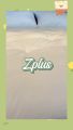 WellPlus ท็อปเปอร์ รุ่นZplus ใยขนห่านเทียม หนา 4 นิ้ว  (ขนาด 3.5/5/6 ฟุต). 