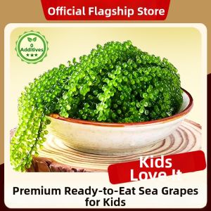 WENXIANGZAN | Fresh Salted Caviar Seaweed For Children