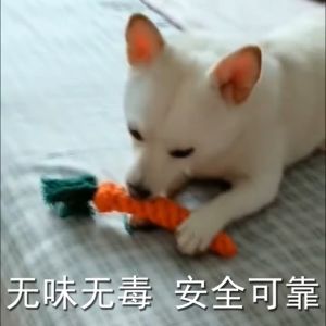 เคียวมัน เชือกทอ แครอทเชือก🥕เชือกกัด ของเล่นน้องหมา, ของเล่นสุนัข เชือกกัดสูงสุด เคียวเพลิน เชือกทอ ของเล่นถักมือ เชือกกัดสูงสุด ที่ดีที่สุดสำหรับเล่นน้อง ๆ