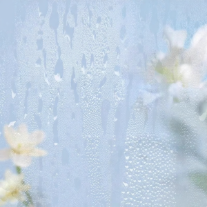 CKCU | Son Dưỡng Môi Chống Nứt Nẻ
