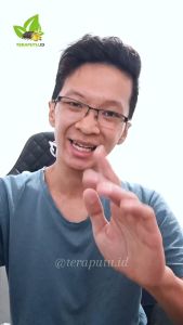 Cemilan Jagung untuk Hamster - Jagung Kristal