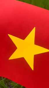 Combo 2 Cờ Vẫy Cầm Tay Cán gổ 2 MẶT Cờ Cầm Tay Cổ Vũ Vẫy Chào Khai Giảng