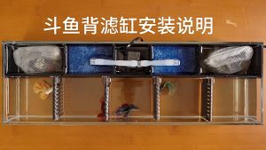 YEE Betta Fish Tank Ultra-clear Glass And Multi-compartment With Partition Filtration