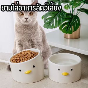 30 องศา ชามใส่อาหารสัตว์เลี้ยง และ ทรงเอียง - BHQ PET
