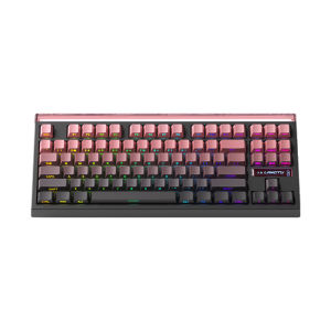 Langtu | Customizable Multi-Mode Mechanical Keyboard