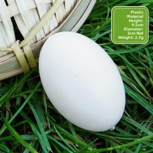 Jiaxun | Simulation Eggs Display Model