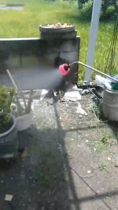 Cas Charger Sprayer Elektrik Tangki Alat Semprot Nagasaki Nagawa Yokohama 12V 17Ah