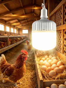 SUIYI | Warm Light Farm Lighting LED Bulb E27