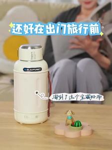 Blaupunkt | Portable Temperature-Controlled Electric Kettle