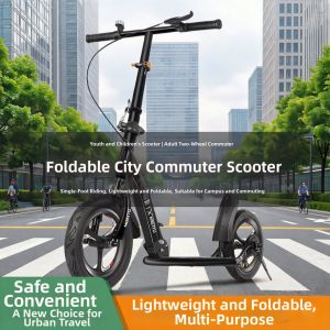 MLZH | Foldable Two-Wheeled Adult Scooter