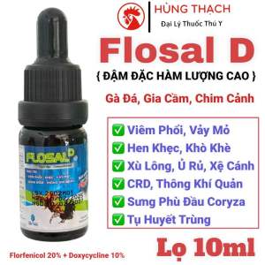 Flosal D (Đậm Đặc) cho gà bị vẩy mỏ khò khè sổ mũi thông khí quản trên gà gia cầm chim