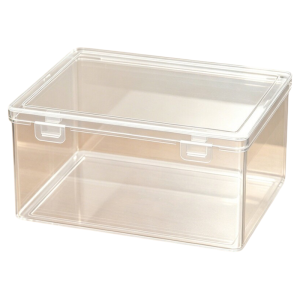 Transparent Plastic Sorting Storage Box