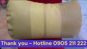 Texil - Dung dịch vệ sinh nội thất Da Nỉ Thảm Ô Tô - Ekokemika