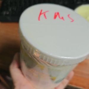 (Tặng kèm thìa) Kem massage mặt hoa cúc dành cho spa dung tích 500ml