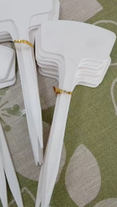 [ 10 ชิ้น ] ป้ายชื่อ รูปตัว T #20 ซม.ป้ายต้นไม้ ป้ายพลาสติก ป้ายก้านยาว