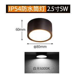 Outdoor Waterproof Downlight Ceiling Mounted Lamp for Porch Entrance Hallway Bathroom Aluminum Material LED Light Source