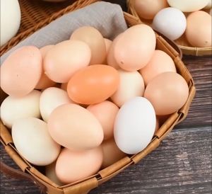 Telur Mainan Plastik / Telor Ayam Mainan Isi 20pcs