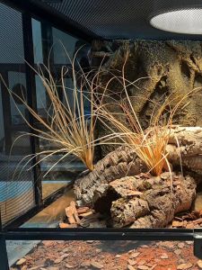 Miniature Landscape Simulation Grass Bundles: Enhancing Your Pet Reptile's Habitat
