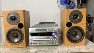 Bán Cặp Loa nghe Nhạc Booksheolf  Onkyo D - F700( loa ko lưới xấu như hình) hát cực tốt  hàng bãi nhật về