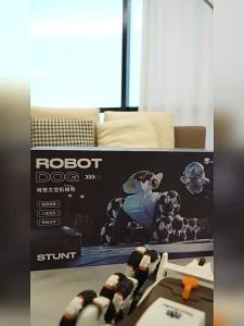 Tao Dudu Childrens Remote Control Car Toy Dinosaur Drift Four-wheel Drive Off-road Racing Car Boys Birthday Gift Bumper Car