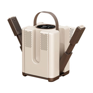 Electric Shoes Dryer 6 Arms Portable Foldable Telescopic Smart Heater Deodorizer Dehumidifier Shoe Drying Machine Foot Warmer