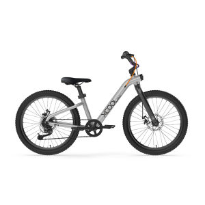 RoyalBaby | Adjustable Speed Student Commuter Bicycle