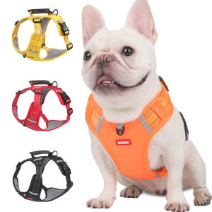 Reflective Adjustable No-Pull Dog Harness and Leash with Training Handle for Small Medium Dogs