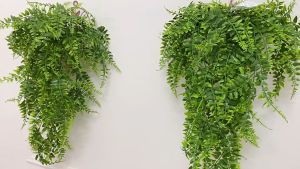 Simulated green plant wall hanging Persian hanging decoration plant wall vine decoration vine