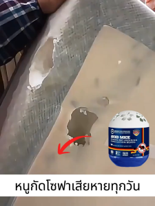 เจลไล่หนู 100000 ม.ไม่มีหนู กำจัดหนู นำเข้าจากเยอรมัน วิทยาศาสตร์มิวนิก ยาไล่หนูถาวร ไม่เป็นอันตรายต่อมนุษย์และสัตว์ ไม่มีสารเคมี ปลอดภัย 100% ก้อนไล่หนู สเปรย์ ไล่ หนู ที่ไล่หนู ไล่หนูถาวร ยาไล่หนู ครีมไล่หนูที่แข็งแรง เจลสมุนไพรไล่หนู