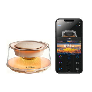 TORRAS | Luxury Long-lasting Fragrance Car Freshener