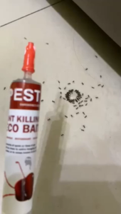PEST ASIA ant killer bait cockroach killer cicak racun cicak racun lipas racun lipas rumah kereta racun semut berkesan *READY STOCK* 【100% Original】Lizard Cicak 蚂蚁药 / 蟑螂药/ 壁虎药