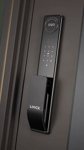 LOOCK F-04 CNC Engraving Palm Vein Recognition Smart Lock Tuya App Control