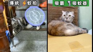 เครื่องดักยุง โคมไฟกันยุง นักฆ่ายุงกลางแจ้ง ธูปไล่ยุงไฟฟ้า เครื่องไล่ยุง เครื่องดูดยุง โคมไฟฆ่ายุง mosquito killer