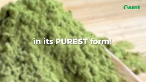 Barley Pure 90g: A Health Supplement with 30 Sachet Barley Dietary Fiber