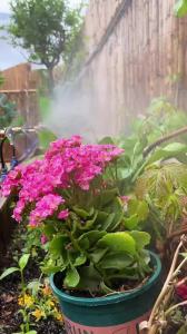 20M-5M Adjustable DIY Misting Kit 8mm Universal Cooling Sprayer Hose for Garden Patio Plant Watering Fogging Irrigation System