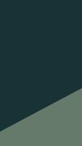 [ Anua ]  Heartleaf Pore Control Cleansing Oil Mild 200ml【Toasty Life 】