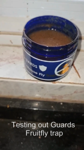 FRUIT FLY TRAP by G-UARD - Ultimate Fly Destroyer Poison Trap (Lalat Buah/果蝇/பழ ஈ)