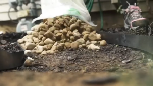 Garden Border 10M Include 30 Spikes No Digging Garden Edging Kit Recyclable Lawn Border Lawn Edging Border