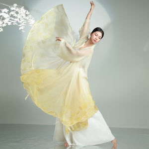 Quần Áo Khiêu Vũ Cổ Điển Phong Cách Trung Hoa Bằng Vải Lụa Vàng Phong Cách Giáng Sinh Quần Áo Khiêu Vũ Samba Cho Nữ