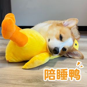 Đồ Chơi Lông Thú Tự Giải Trí Cho Chó Cưng Nhỏ Và Trung Bình Đồ Chơi Phát Âm Chống Mòn Răng Đồ Chơi Ngủ Cùng Cho Chó Corgi Teddy Bichon