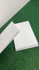 5 mm thick PP Corrugated Board A6 Sizex 5 pcs /PP Hollow /Impra Board/PP Hollow Board/Plastic Board/Stationery/Living Art