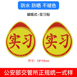 Reflective Magnetic Intern Driver Sticker Creative Fun Large Decorative Road Sign Stick Car Decal for New Female Drivers