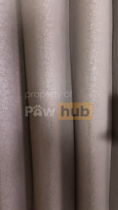 Lifecat Wet Food Kaleng Can 400 Gram / Makanan Basah Kucing Lifecat