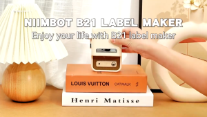 NIIMBOT B21S Bluetooth Thermal Label Printer - Portable Waterproof Sticker Maker for Food Packaging Shipping Retail