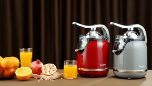 [Mua 1 tặng 1] Máy Vắt Cam ELEGANT JS1001 - Công suất lớn 160W Chất liệu Inox Thép không gỉ Bảo hành 12 tháng