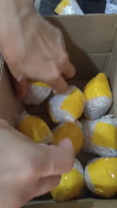 ไข่ไก่อารมณ์ดี ไข่ไก่อินทรีย์ เบอร์1 (30 ฟอง) เก็บสดใหม่ทุกวัน รับประกันคุณภาพ ไข่แดงดี สดใหม่ เลี้ยงแบบปล่อย