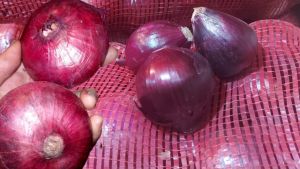 Bawang Merah Peking India Fresh 1 Kg | 500 Gr | 250 Gram