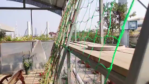 Plant Climbing Net Nylon Support Mesh Vine Plants Trellis Net Support Fruits Vegetables Plant Climbing Garden Tools
